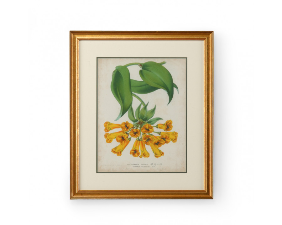 Chelsea House - Tropical Array II with Double Mat in Gold Frame