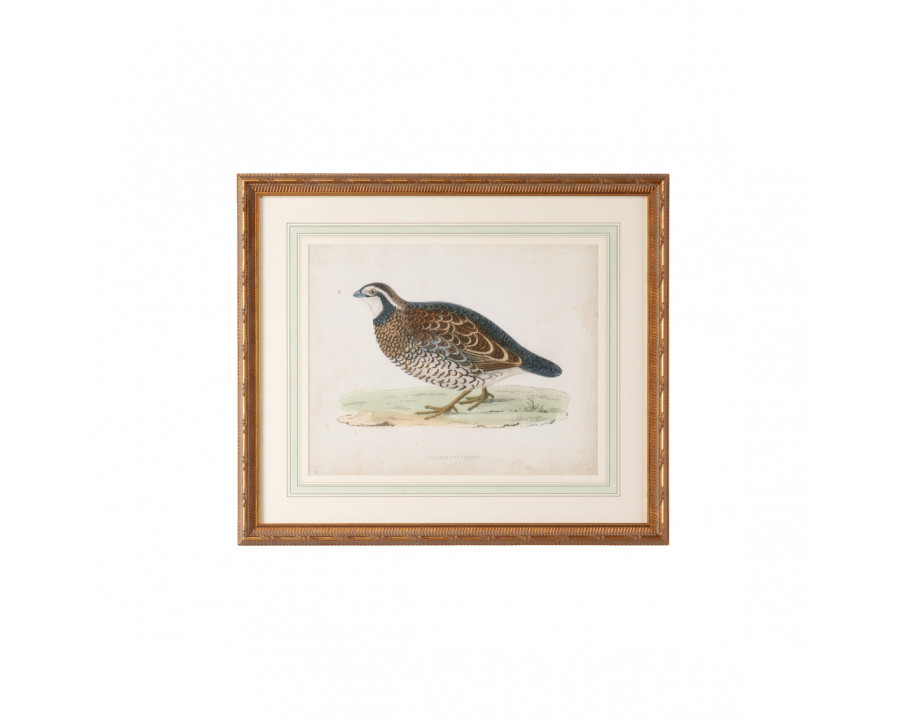 Chelsea House - Morris Sand Grouse with Single French Mat in Antiqued Gold Frame