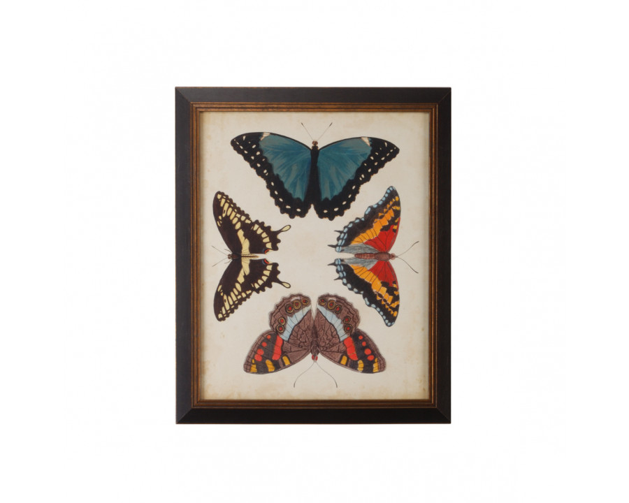 Chelsea House - Display Of Butterflies I in Gold Print, Black Textured Frame