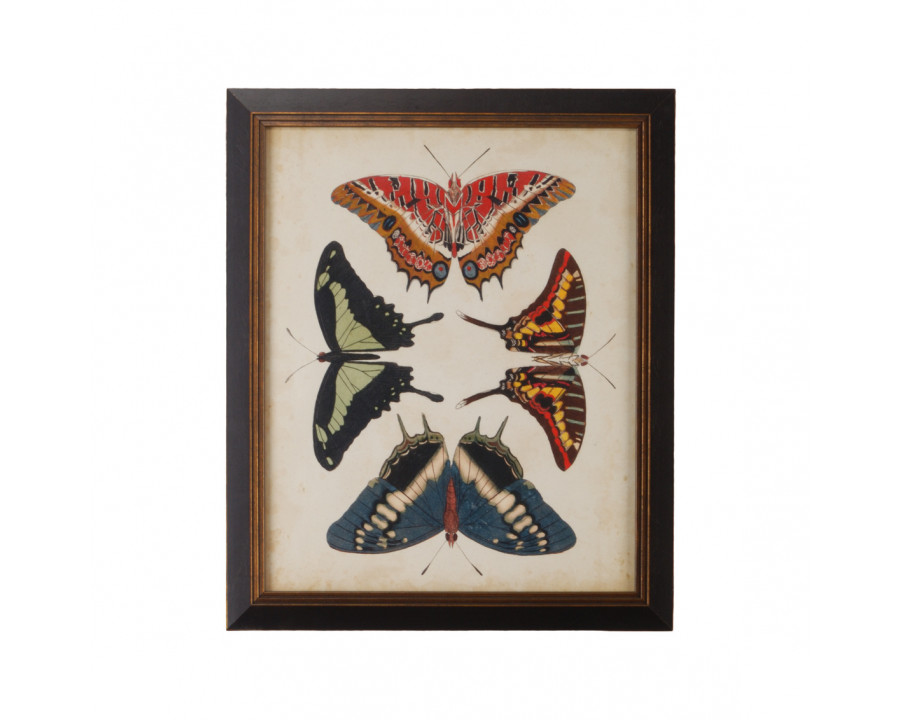 Chelsea House - Display Of Butterflies II in Gold Print, Black Textured Frame