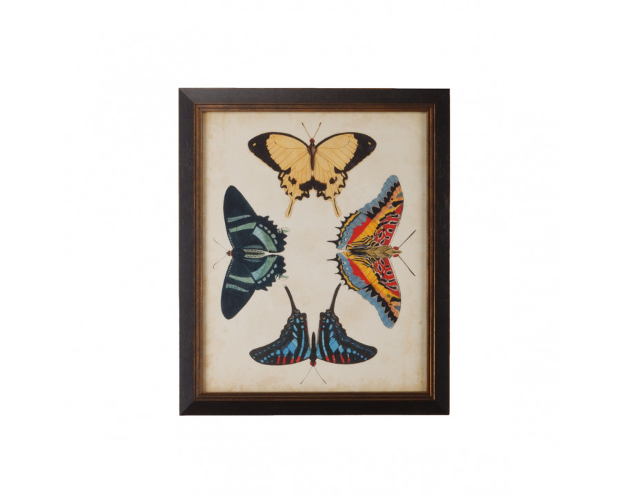 Chelsea House - Display Of Butterflies III in Gold Print, Black Textured Frame