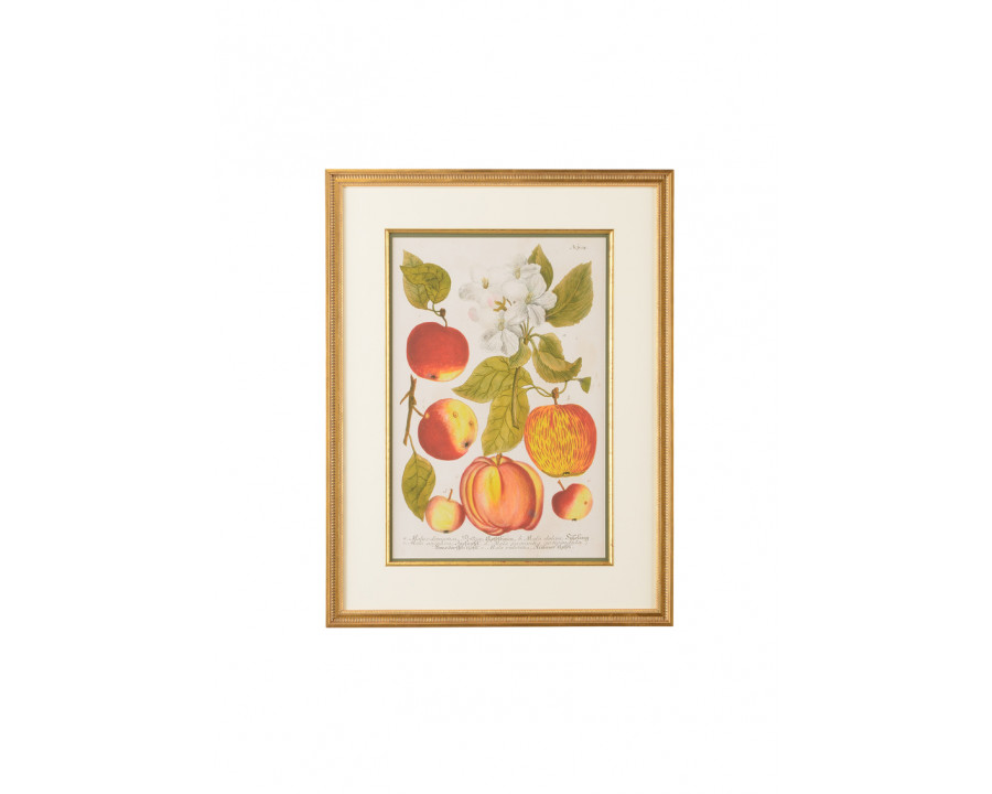 Chelsea House - Apples No.704 Painting in Gold Leaf, Giclee