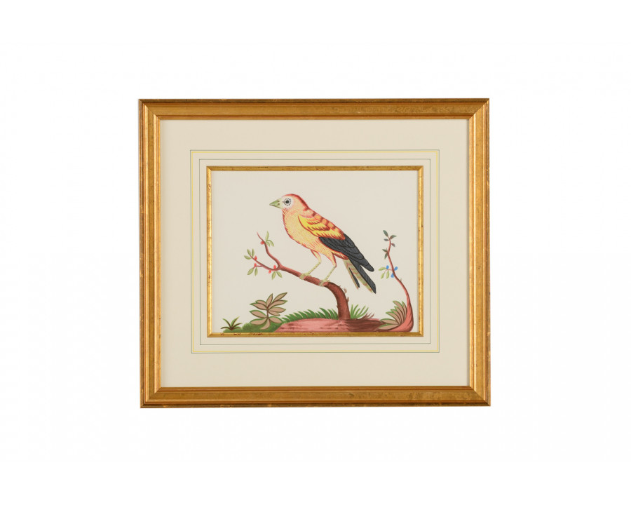 Chelsea House - Yellow Wing/Rd Berry in Gold Frame