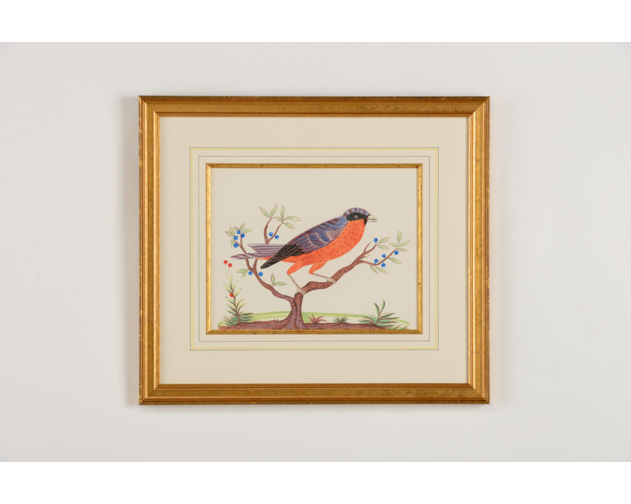 Chelsea House - Orange Breast in Gold Frame