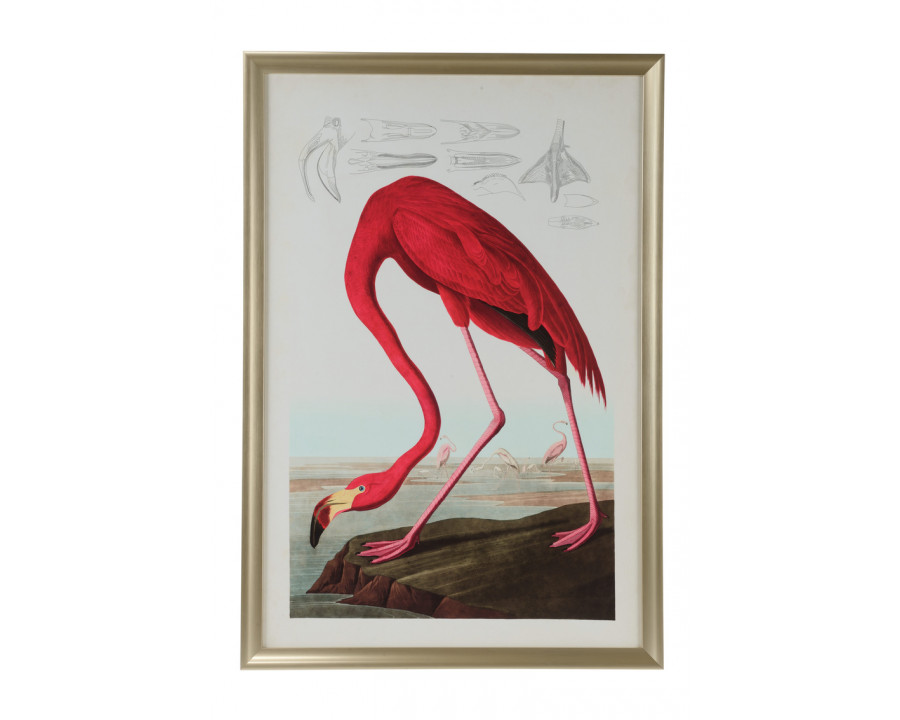 Chelsea House - American Flamingo in Multi-Color, Giclee