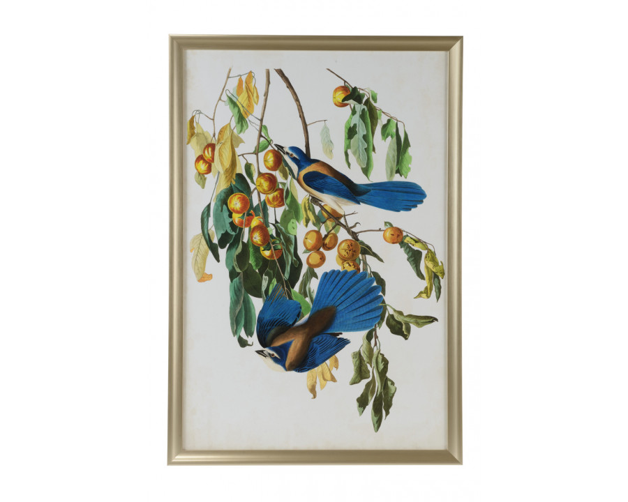 Chelsea House Audubon Blue Jay II - Multi-Color, Giclee