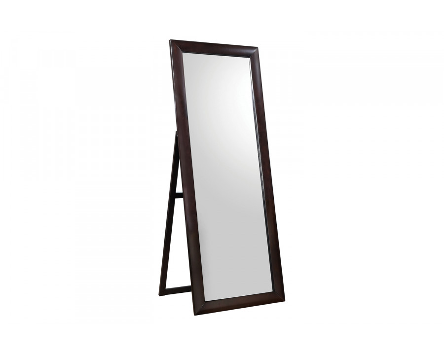 Coaster - Rectangular Standing Floor Mirror in Black