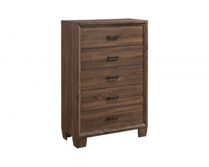 Coaster - Brandon 5-Drawer Chest in Medium Warm Brown