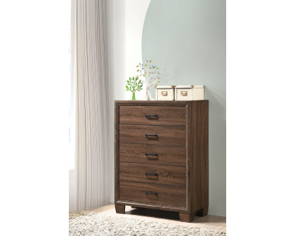 Coaster - Brandon 5-Drawer Chest in Medium Warm Brown