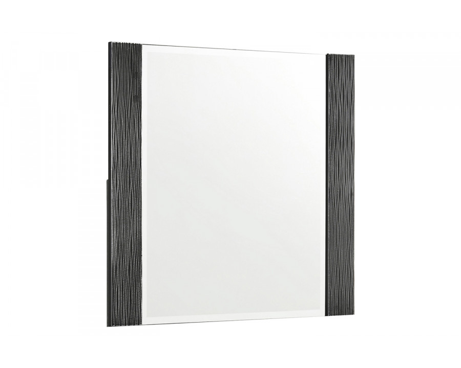 Coaster - Blacktoft Rectangle Dresser Mirror in Black