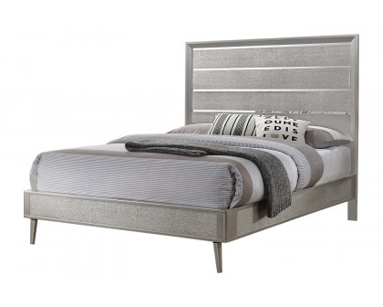 Coaster Ramon Queen Panel Bed - Metallic Sterling