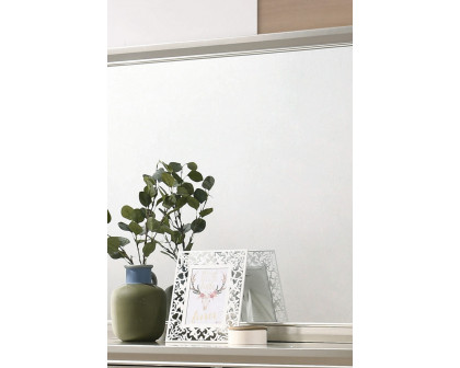 Coaster - Salford Rectangular Mirror in Metallic Sterling