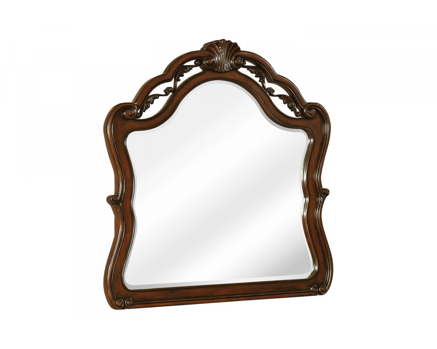 Coaster - Exeter Arched Dresser Mirror in Dark Burl