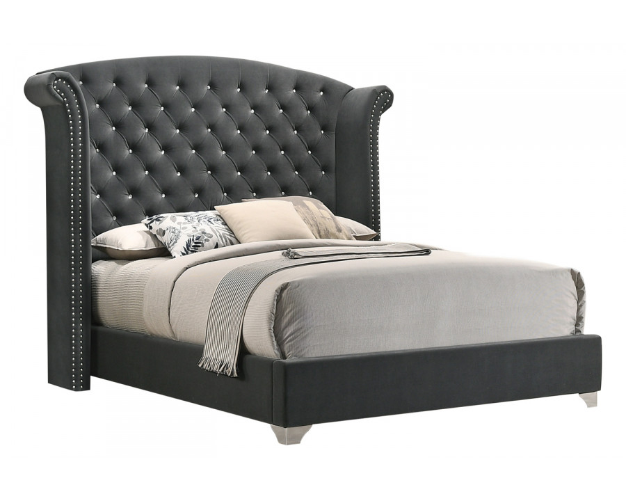 Coaster Melody Eastern King Wingback Upholstered Bed - Gray