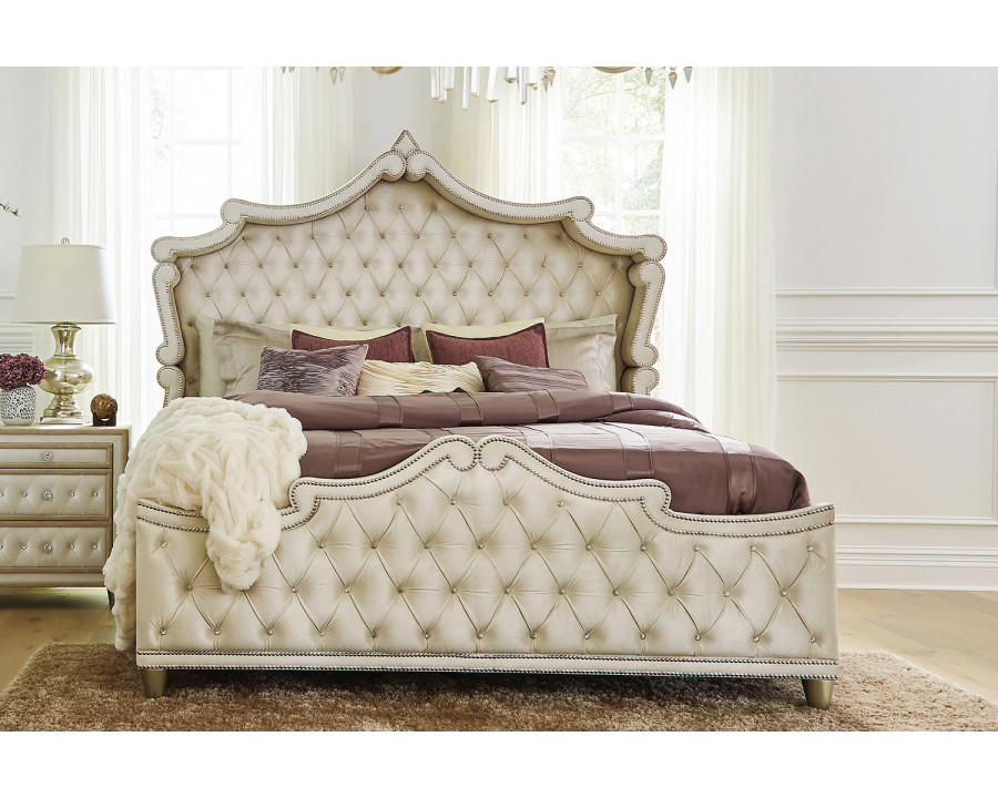 Coaster - Antonella Upholstered Tufted Eastern King Bed