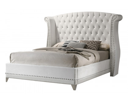 Coaster - Barzini Eastern King Tufted Upholstered Bed