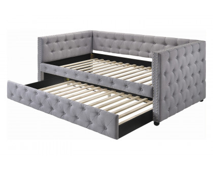 Coaster - Mockern Tufted Upholstered Daybed With Trundle in Gray