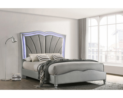 Coaster - Bowfield Eastern King Upholstered Bed with Led Lighting