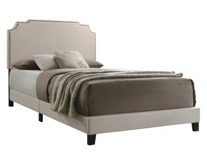 Coaster - Tamarac Upholstered Nailhead Full Bed