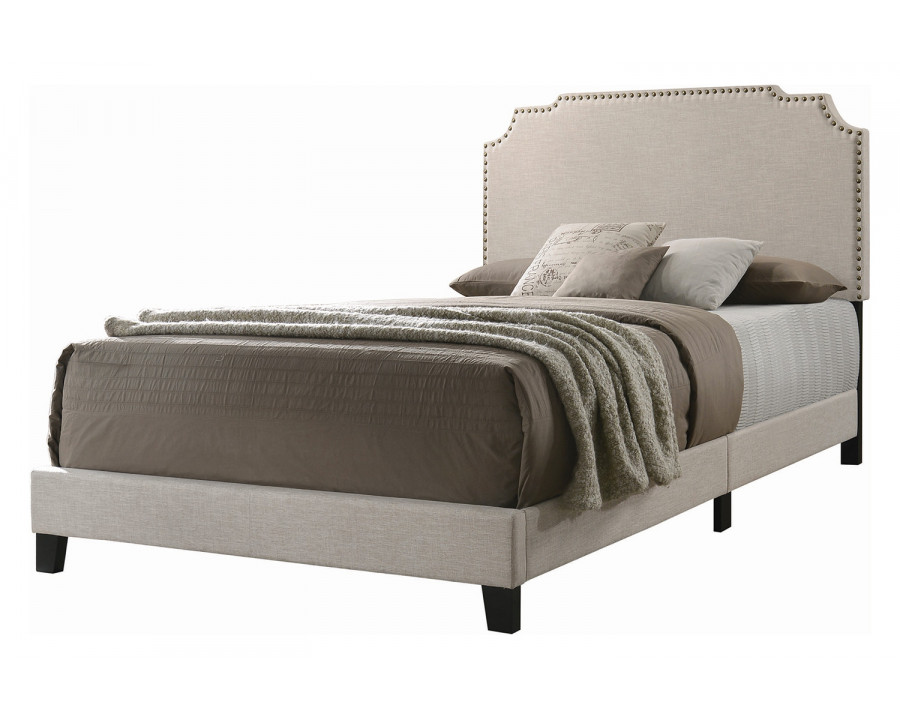 Coaster Tamarac Upholstered Nailhead Queen Bed - Beige