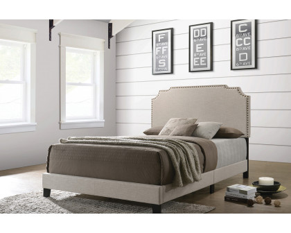 Coaster Tamarac Upholstered Nailhead Queen Bed - Beige