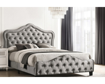 Coaster Bella Upholstered Tufted Panel Eastern King Bed - Gray