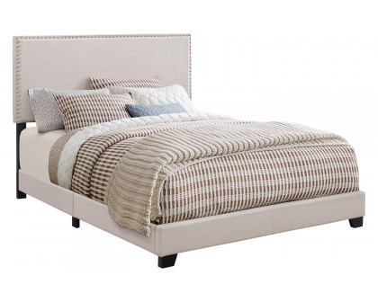 Coaster - Boyd Full Upholstered Bed with Nailhead Trim