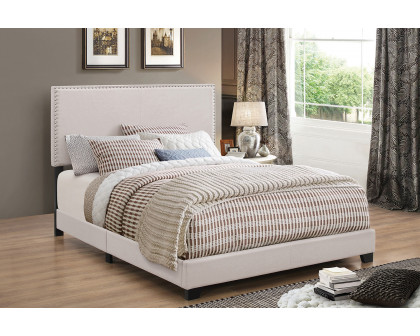 Coaster Boyd Full Upholstered Bed with Nailhead Trim - Ivory