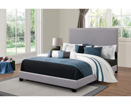 Coaster Boyd California King Upholstered Bed with Nailhead Trim - Gray