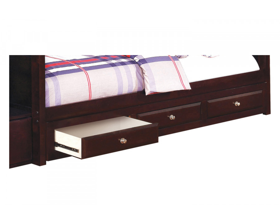 Coaster - Elliott 3-Drawer Under Bed Storage in Cappuccino