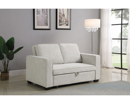 Coaster - Helene Upholstered Sleeper Sofa Bed in Beige