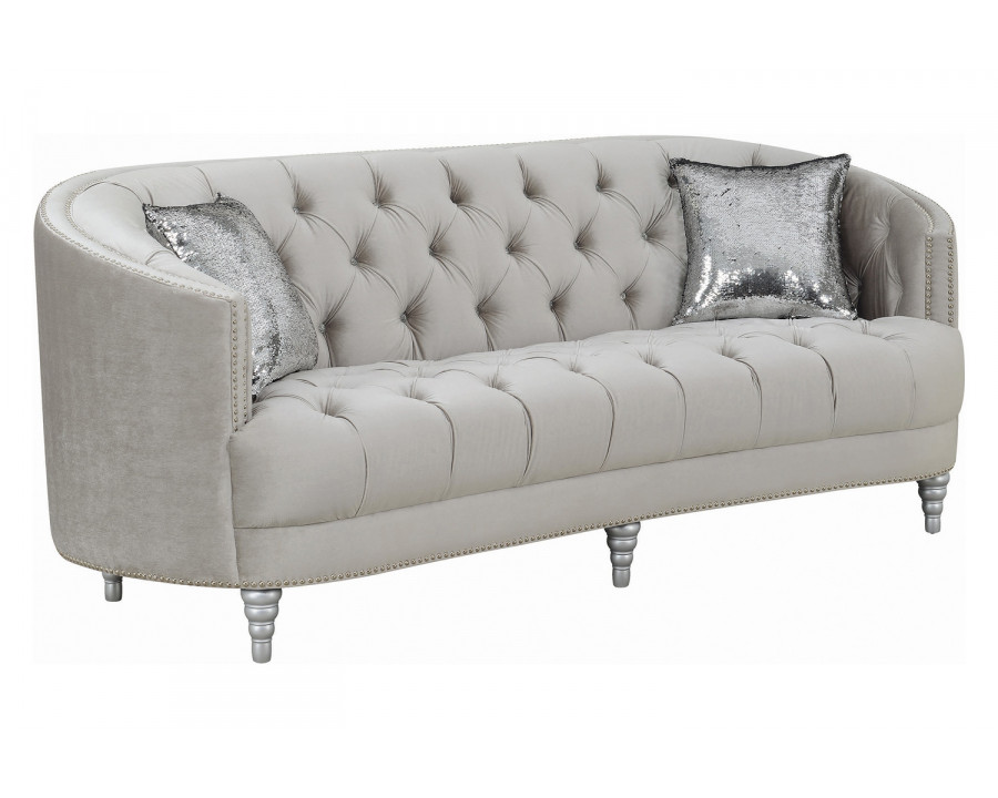 Coaster - Avonlea Sloped Arm Tufted Sofa in Gray