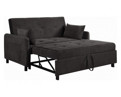 Coaster - Underwood Tufted Sleeper Sofa Bed in Charcoal