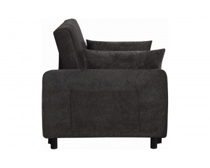 Coaster - Underwood Tufted Sleeper Sofa Bed in Charcoal