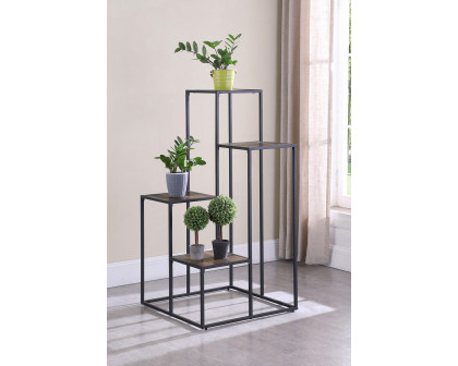 Coaster - 4-Tier Display Shelf in Rustic Brown/Black