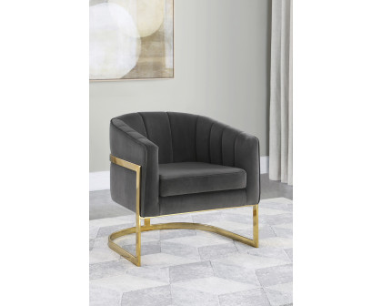 Coaster - Tufted Barrel Accent Chair in Dark Gray/Gold