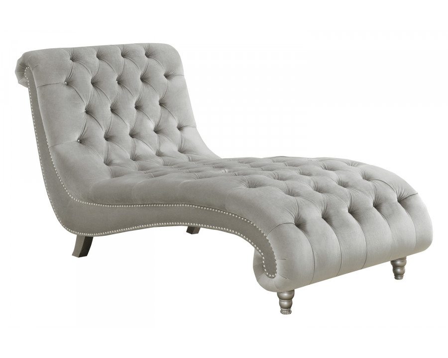 Coaster - Tufted Cushion Chaise With Nailhead Trim in Gray