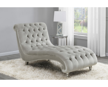 Coaster - Tufted Cushion Chaise With Nailhead Trim in Gray