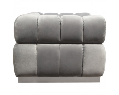 Diamond Sofa™ Image Low Profile Velvet Chair with Brushed Silver Base - Platinum Gray