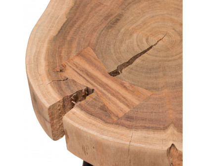 Diamond Sofa - Joss Natural Acacia One of a Kind Live Edge Accent Table with Black Hairpin Legs