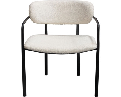 Diamond Sofa - Skyler Boucle Fabric Dining Chairs with Black Metal Frame (Set of 2) in Ivory