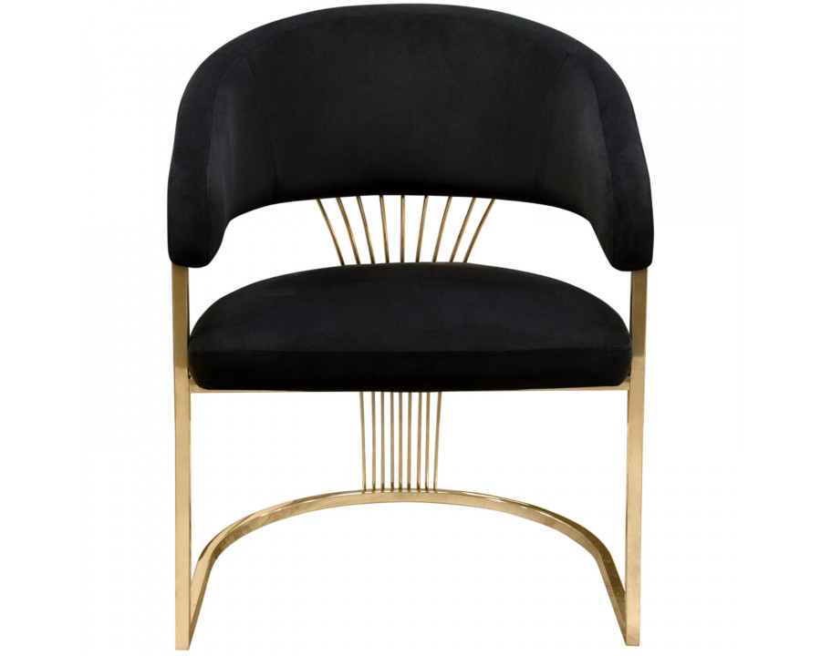 Diamond Sofa Solstice Velvet Dining Chair with Polished Gold Metal Frame - Black