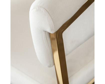 Diamond Sofa Solstice Velvet Counter Height Chair with Polished Gold Metal Frame - Cream