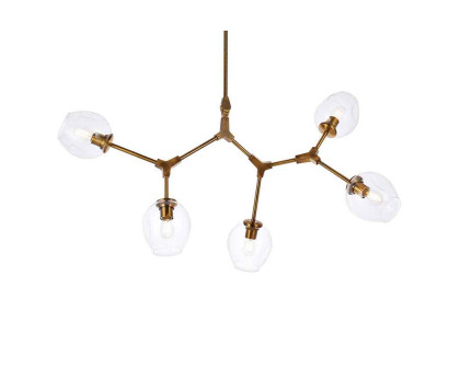 Elegant Cavoli 5 Lights Chandelier - Brass (1712D42BR)