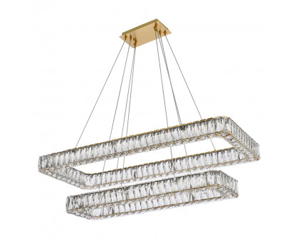 Elegant Pendant Light - Gold, L 42", 2 Lights (3504G42L2G)