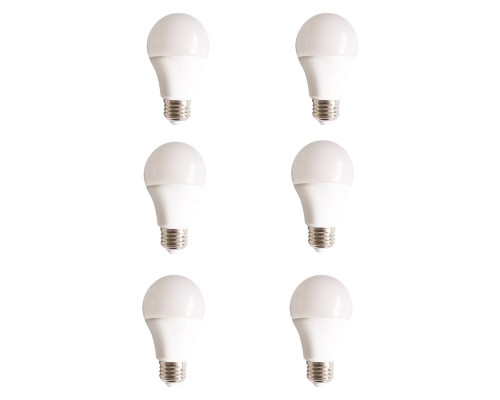 Elegant - Light Bulbs (PNT-A19LED80)