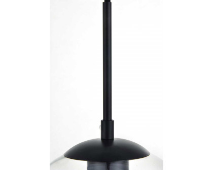 Elegant Baxter 1-Light Pendant - Black, L 13.8" (LD2216BK)