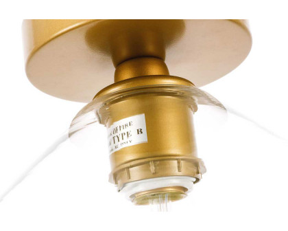 Elegant Flush Mount Light - Brass (LD2254BR)