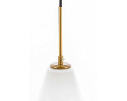 Elegant Pendant Light - Brass (LD2261BR)