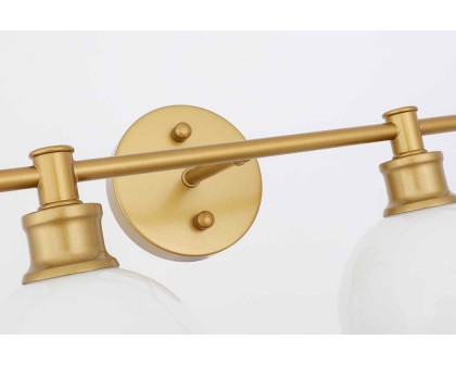 Elegant Wall Sconce - Brass/Matte Glass (LD2315BR)